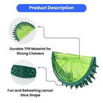 Summer Cooling Squeaky Teething Chew TPR Dog Frozen Toys - GreenFur