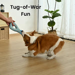 Summer Fish Tail Design Floating Tug - of - War EVA Dog Toy - GreenFur