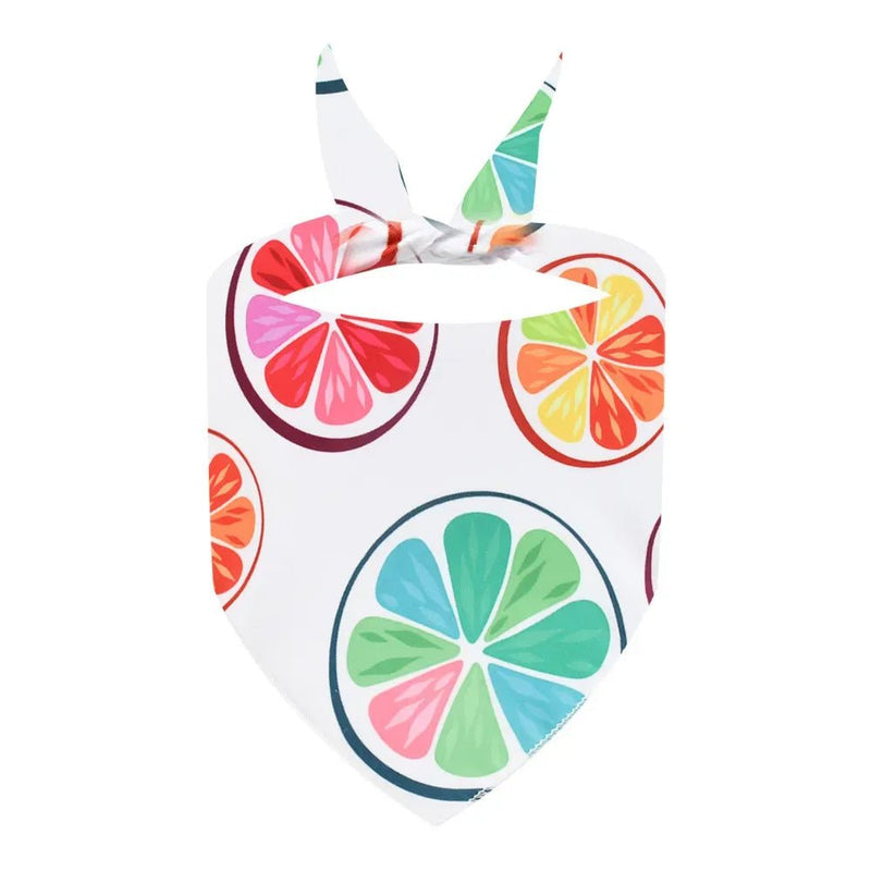 Summer Fresh Fruit Cute Pet Bandana Bib for Pets - GreenFur