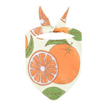 Summer Fresh Fruit Cute Pet Bandana Bib for Pets - GreenFur