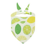 Summer Fresh Fruit Cute Pet Bandana Bib for Pets - GreenFur