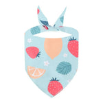 Summer Fresh Fruit Cute Pet Bandana Bib for Pets - GreenFur
