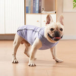 Summer Night Reflective Vest for Small Breeds - GreenFur