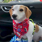 Summer Pet Bandanas Polyester Prints for Beach and Travel - GreenFur
