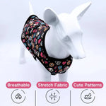 Summer Skeleton Design for Halloween Vests for Cats and Dogs - GreenFur