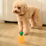 Summer Squeaky Chew Teething TPR Cooling Dog Frozen Toy - GreenFur