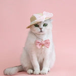 Sun Protection Straw Hat with Bow Knot for Cats - GreenFur
