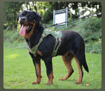 Tactical Dog Harness Vest Oxford Fabric for Large Dogs - GreenFur