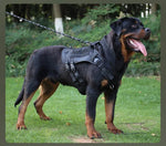 Tactical Dog Harness Vest Oxford Fabric for Large Dogs - GreenFur