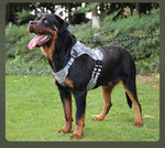 Tactical Dog Harness Vest Oxford Fabric for Large Dogs - GreenFur