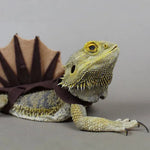 TEC Bearded Dragon Dinosaur Costume Outfit Felt Apparel Harness for Lizards - GreenFur