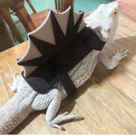TEC Bearded Dragon Dinosaur Costume Outfit Felt Apparel Harness for Lizards - GreenFur