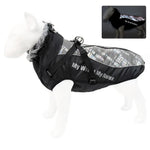 Thickened Winter Dog Jacket for Large Breeds - GreenFur