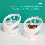 Tilted Cat Bowl Ergonomic Raised Feeding Dish Neck Protection Pet Bowl - GreenFur