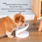Tilted Cat Bowl Ergonomic Raised Feeding Dish Neck Protection Pet Bowl - GreenFur