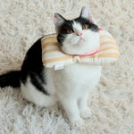 Tiramisu Soft Adjustable Pet Recovery Collar for Cats - GreenFur