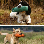 Tooth Grinding Dog Training Waterproof PVC Canvas Pet Chew Toys - GreenFur