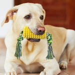 Toothbrush Clean Teeth Interactive Corn TPR Dog Chew Toys - GreenFur
