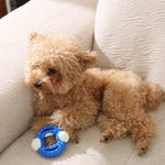 Tough Circular Nylon Chew Pet Teeth Cleaning Toy - GreenFur