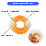 Tough Circular Nylon Chew Pet Teeth Cleaning Toy - GreenFur