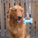 Tough Durable Chew Toy for Dogs Bone Shape for Teeth Cleaning - GreenFur