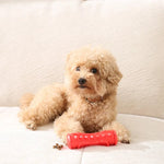 TPR Durable Bone Shaped Chew Toy for Dogs Food Dispensing - GreenFur
