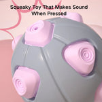 TPR Squeaky Dog Ball Toy Interactive Pet Toy - GreenFur
