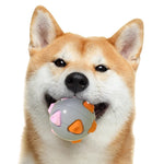 TPR Squeaky Dog Ball Toy Interactive Pet Toy - GreenFur