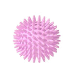 TPR Squeaky Dog Toy Spike Ball Pet Teeth Cleaning Ball - GreenFur