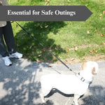 Traditional Style Nylon Dog Leash with Bolt Snap for All Sizes - GreenFur