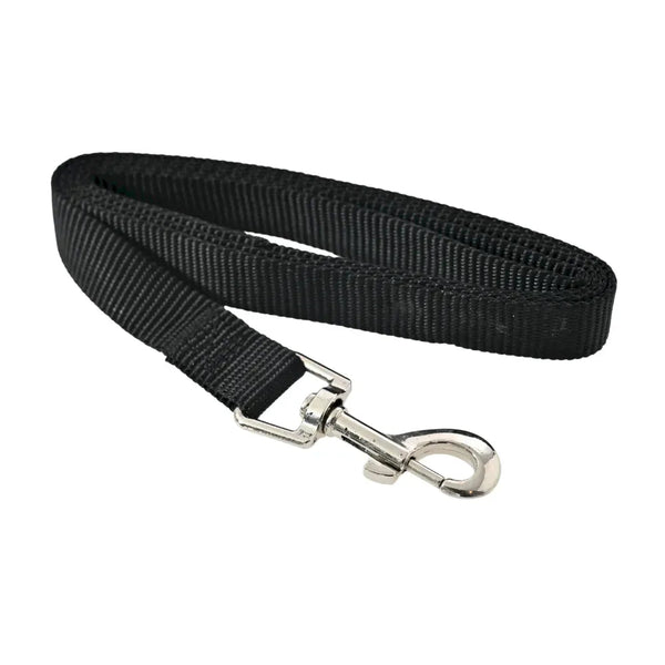 Traditional Style Nylon Dog Leash with Bolt Snap for All Sizes - GreenFur