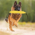 Training Tug Toy for Dogs Chew Stick Bite and Fetch Interactive Pet Training - GreenFur