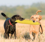 Training Tug Toy for Dogs Chew Stick Bite and Fetch Interactive Pet Training - GreenFur