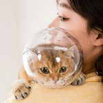 Transparent Pet Recovery Cone and Breathable Anti - Bite for Cats - GreenFur