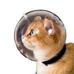 Transparent Pet Recovery Cone and Breathable Anti - Bite for Cats - GreenFur