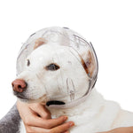 Transparent Pet Recovery Cone and Breathable Anti - Bite for Cats and Small Dogs - GreenFur
