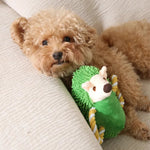 Tug of War Dog Plush Toy with Pull Rope - GreenFur