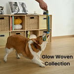 Tug - of - War Glow in the Dark Polyester Woven Strip Dog Chew Toy - GreenFur