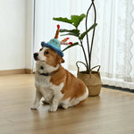 Two - Color Assorted Adjustable Cute Plush Birthday Pet Hat - GreenFur