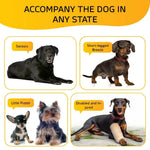 US Local Stock 5 Step Foam Dog Stairs for Small and Medium Pets, US Warehouse Free Shipping - GreenFur