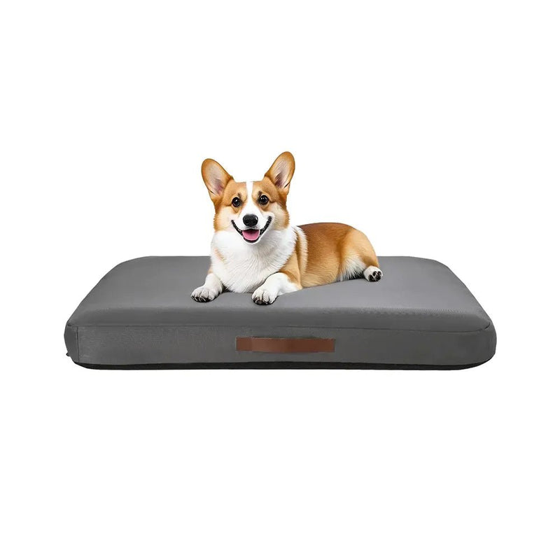 US Local Stock Summer Inflatable Large Pet Bed, US Warehouse Free Shipping - GreenFur