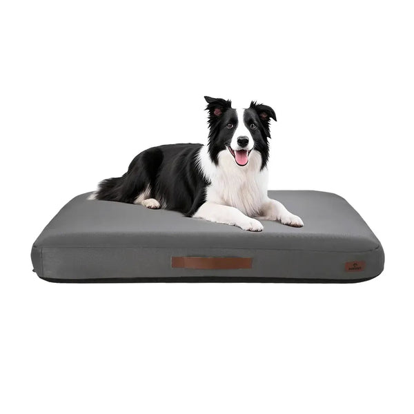 US Local Stock XL Grey Inflatable Pet Bed, US Warehouse Free Shipping - GreenFur