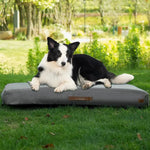 US Local Stock XL Grey Inflatable Pet Bed, US Warehouse Free Shipping - GreenFur