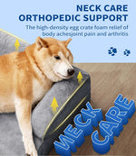 US Local Stock XXL Dog Bed Orthopedic Sofa, US Warehouse Free Shipping - GreenFur