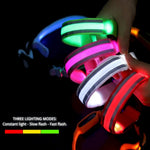 USB Rechargeable Reflective LED Dog Collar for Night Walks - GreenFur