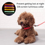 USB Rechargeable Reflective LED Dog Collar for Night Walks - GreenFur