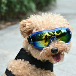 UV Protection Windproof Goggles for Dogs Sunglasses for Pets - GreenFur