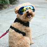 UV Protection Windproof Goggles for Dogs Sunglasses for Pets - GreenFur
