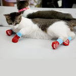 Valentine's Day Non Slip Pet Socks Cat and Dog Footwear Accessory - GreenFur