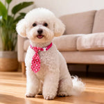 Valentine's Day Pet Bow Tie Stylish Heart Pattern Dog and Cat Neckwear Accessory - GreenFur
